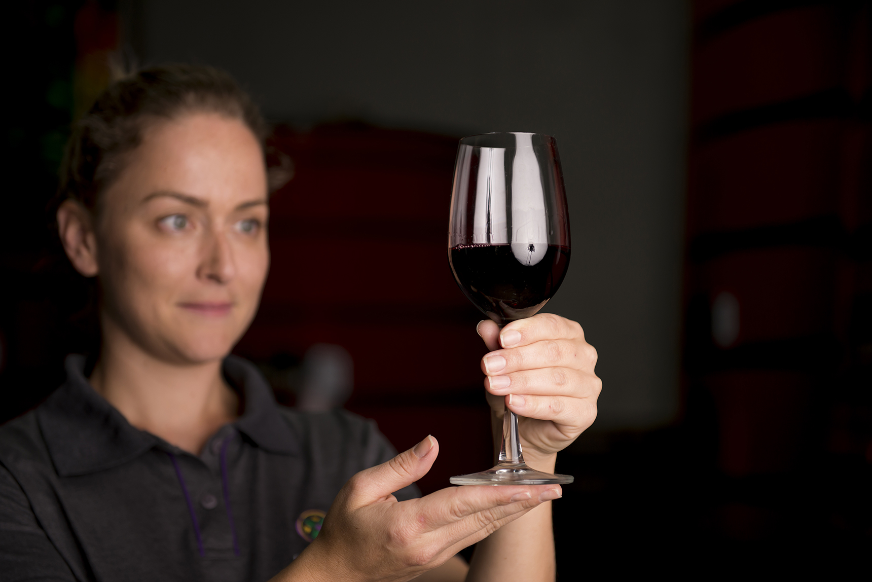 As mulheres e o mundo do vinho